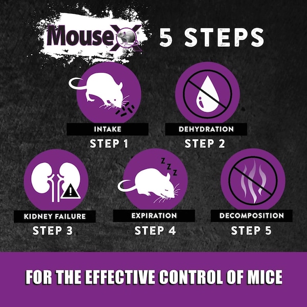 Mousex MouseX Non-Toxic Bait Pellets For Mice and Rats 6 oz 2 pk - 620107
