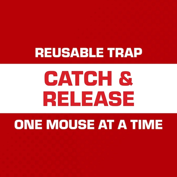 Tomcat Tomcat Small Live Catch Animal Trap For Mice 1 pk - 0362010