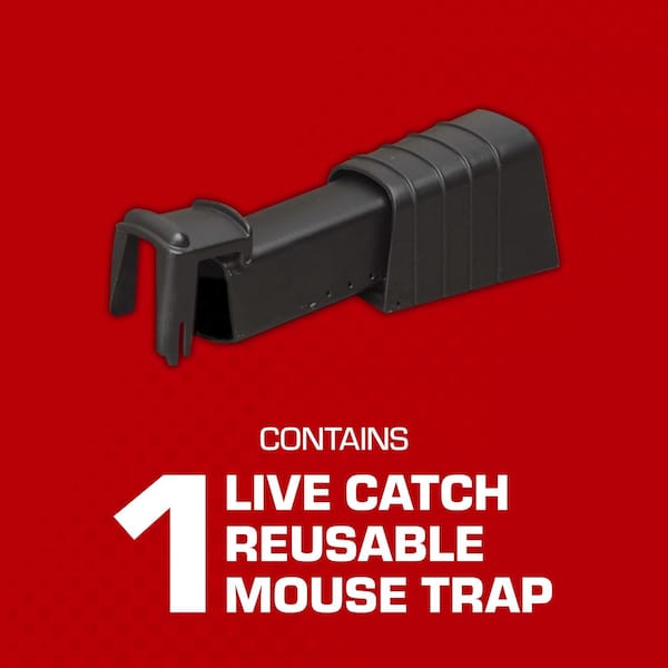 Tomcat Tomcat Small Live Catch Animal Trap For Mice 1 pk - 0362010