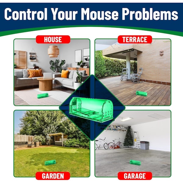 Campior Humane Mouse Trap, Large, No-Kill, Pet Safe, Easy Clean, No-Touch Release, Green, 2PK - CMPMU7GRS22