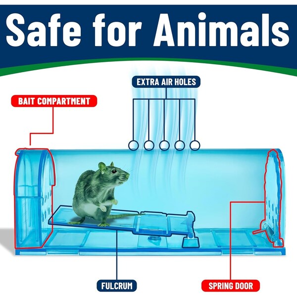 Campior Humane Mouse Trap, Large, No-Kill, Pet Safe, Easy Clean, No-Touch Release, Blue - CMPMU7BLS1