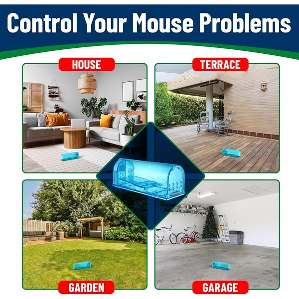 Campior Humane Mouse Trap, Large, No-Kill, Pet Safe, Easy Clean, No-Touch Release, Blue, 6PK - CMPMU7BLS6