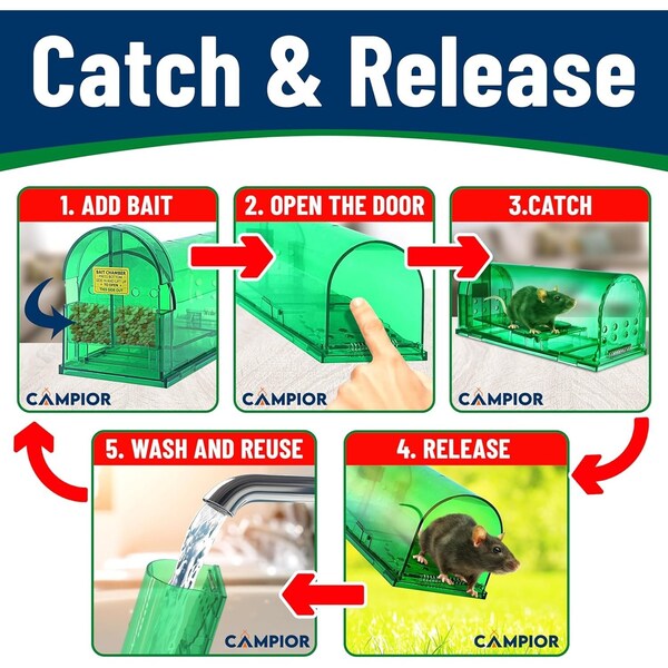 Campior Humane Mouse Trap, Large, No-Kill, Indoor, Pet Safe, Easy Clean, No-Touch Release, Green, 4PK - CMPMO8SGR64