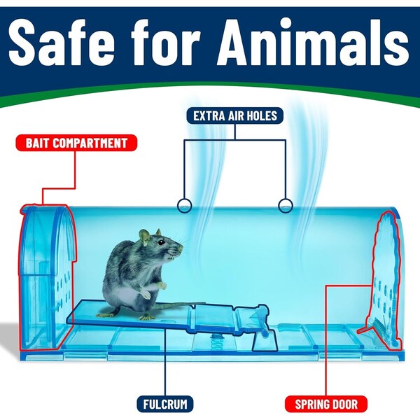 Campior Humane Mouse Trap, Large, No-Kill, Indoor, Pet Safe, Easy Clean, No-Touch Release, Blue, 2PK - CMPMO8SBL98