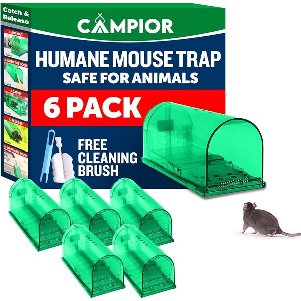 Campior Humane Mouse Trap, Large, No-Kill, Pet Safe, Easy Clean, No-Touch Release, Green, 6PK - CMPMU7GRS66