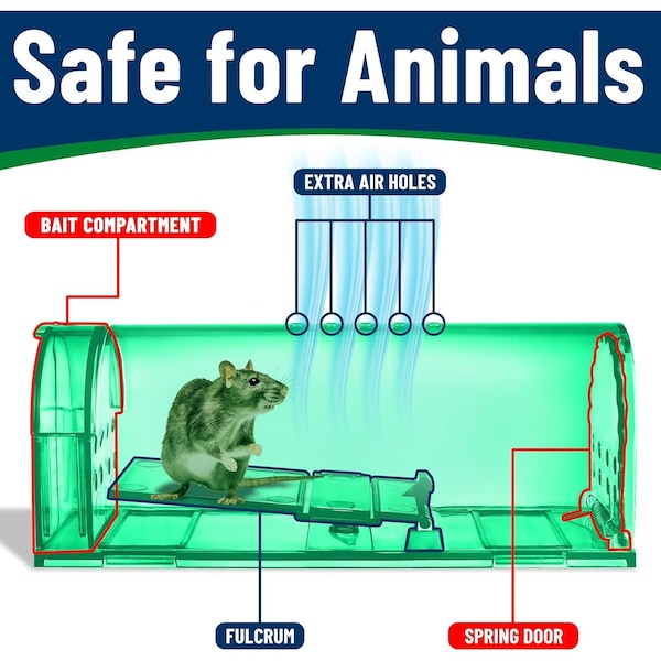Campior Humane Mouse Trap, Large, No-Kill, Pet Safe, Easy Clean, No-Touch Release, Green, 6PK - CMPMU7GRS66