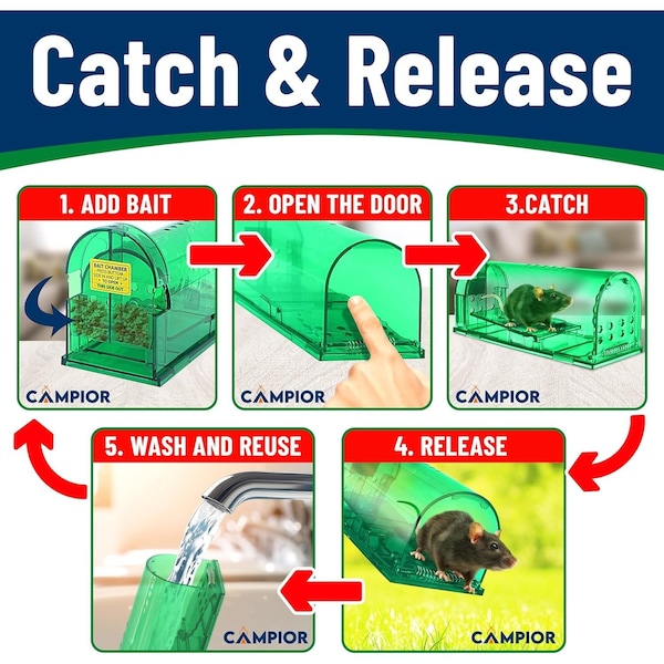 Campior Humane Mouse Trap, Large, No-Kill, Pet Safe, Easy Clean, No-Touch Release, Green - CMPMU7GRS11