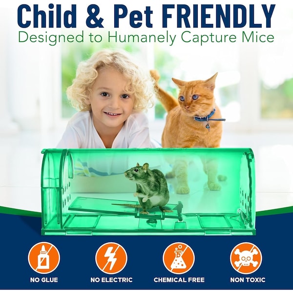 Campior Humane Mouse Trap, Large, No-Kill, Pet Safe, Easy Clean, No-Touch Release, Green - CMPMU7GRS11
