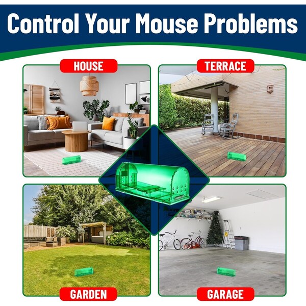 Campior Humane Mouse Trap, Large, No-Kill, Indoor, Pet Safe, Easy Clean, No-Touch Release, Green, 2PK - CMPMO8SGR52