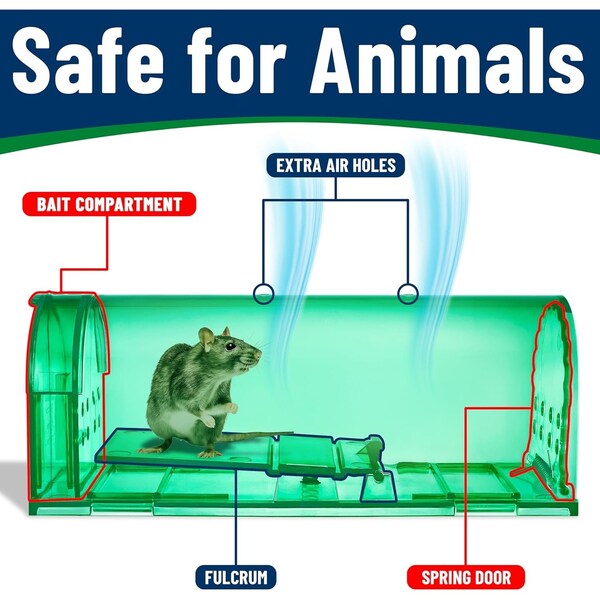 Campior Humane Mouse Trap, Large, No-Kill, Indoor, Pet Safe, Easy Clean, No-Touch Release, Green, 6PK - CMPMO8SGR76