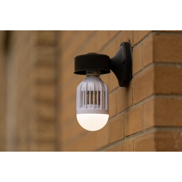 Prime-Line iMagic Smart Bulb, 2 in 1 Smart Wi-Fi Bulb and Party Bulb Single Pack - IM040201
