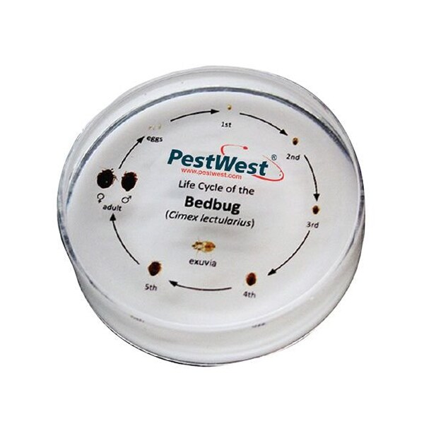 Pestwest Usa Llc PestWest CSI Kit Replacement Parts - Bed Bug Specimen Life Cycle ID - 340-000081