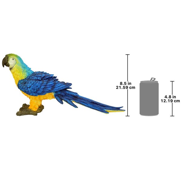 Design Toscano Mortimer the Macaw Tropical Parrot Statue - JQ5998