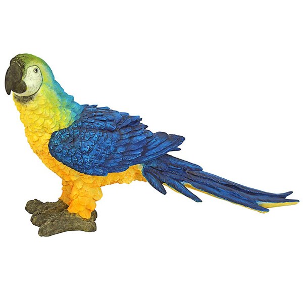 Design Toscano Mortimer the Macaw Tropical Parrot Statue - JQ5998
