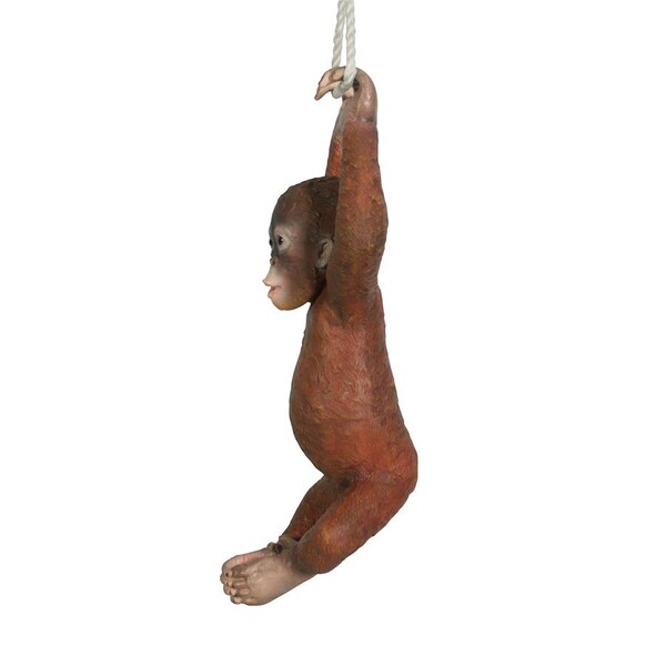 Design Toscano Pongo, the Hanging Baby Orangutan Statue - NE867215