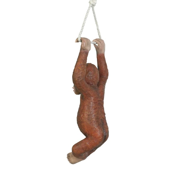 Design Toscano Pongo, the Hanging Baby Orangutan Statue - NE867215