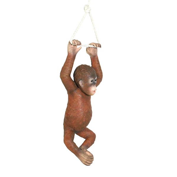Design Toscano Pongo, the Hanging Baby Orangutan Statue - NE867215