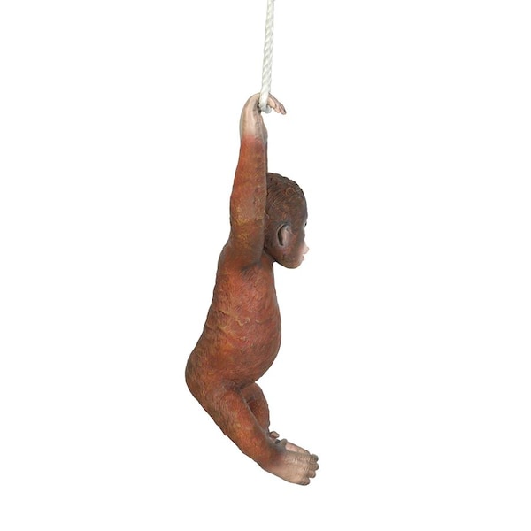 Design Toscano Pongo, the Hanging Baby Orangutan Statue - NE867215