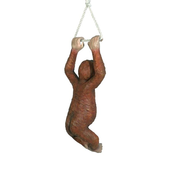 Design Toscano Pongo, the Hanging Baby Orangutan Statue - NE867215