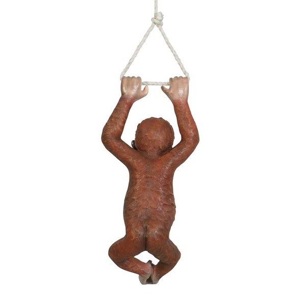 Design Toscano Pongo, the Hanging Baby Orangutan Statue - NE867215