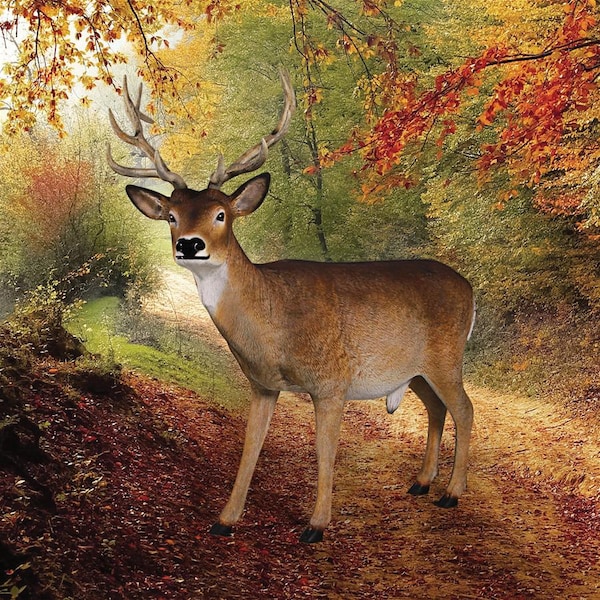 Design Toscano Forest White Tailed Buck, Male Deer Statue - NE190016
