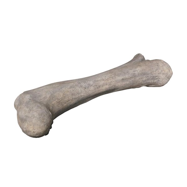Design Toscano Apatosaurus Femur Bone Fossil Statue - NE140057