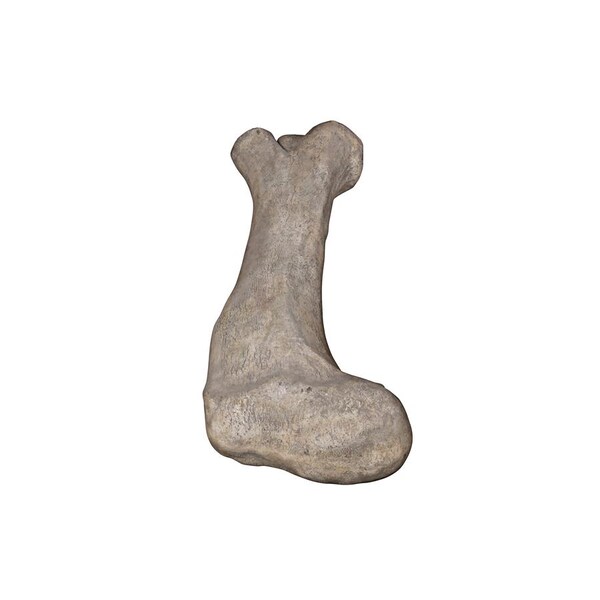 Design Toscano Apatosaurus Femur Bone Fossil Statue - NE140057