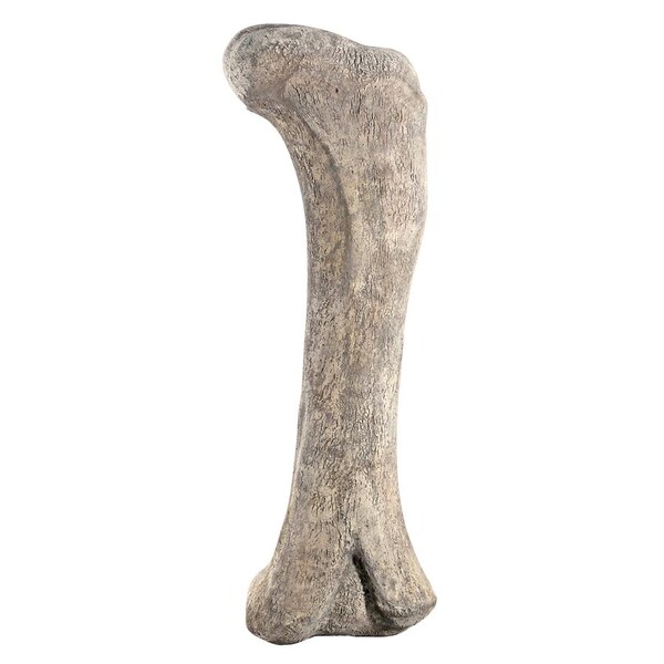 Design Toscano Apatosaurus Femur Bone Fossil Statue - NE140057