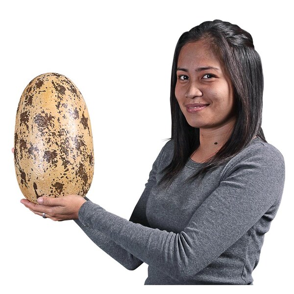 Design Toscano Early Jurassic Theropoda Dinosaur Egg Fossil Statue - NE140031