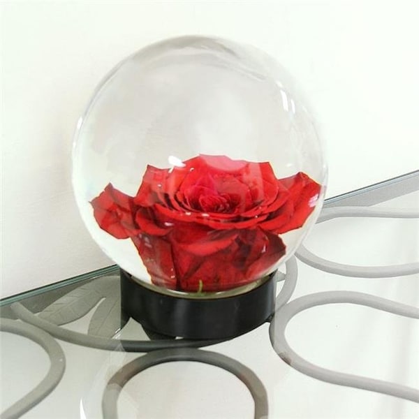 Minuteman-Achla Minuteman-Achla FLAQ-01 Outdoor Flower Aquarium - FLAQ-01