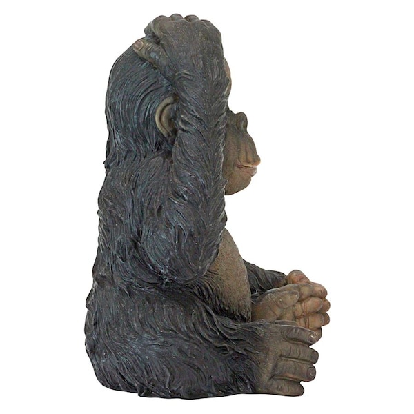 Design Toscano Curly the Chimpanzee of the Jungle Funny Monkey Statue - JQ3551