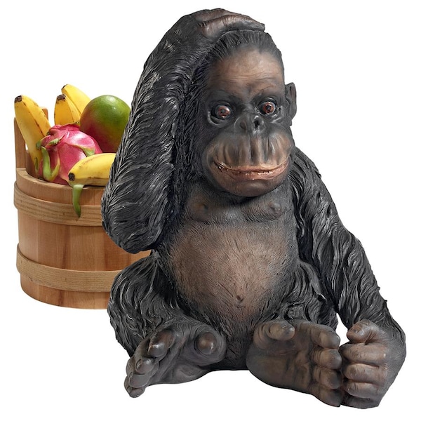 Design Toscano Curly the Chimpanzee of the Jungle Funny Monkey Statue - JQ3551