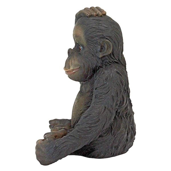 Design Toscano Curly the Chimpanzee of the Jungle Funny Monkey Statue - JQ3551