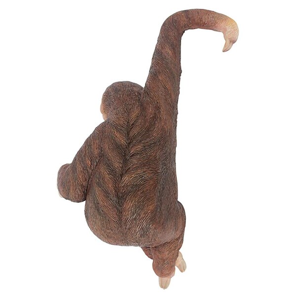 Design Toscano Sinbad the 3-Toed Sloth Hanging Statue - QM2986400
