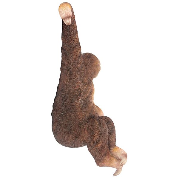 Design Toscano Sinbad the 3-Toed Sloth Hanging Statue - QM2986400