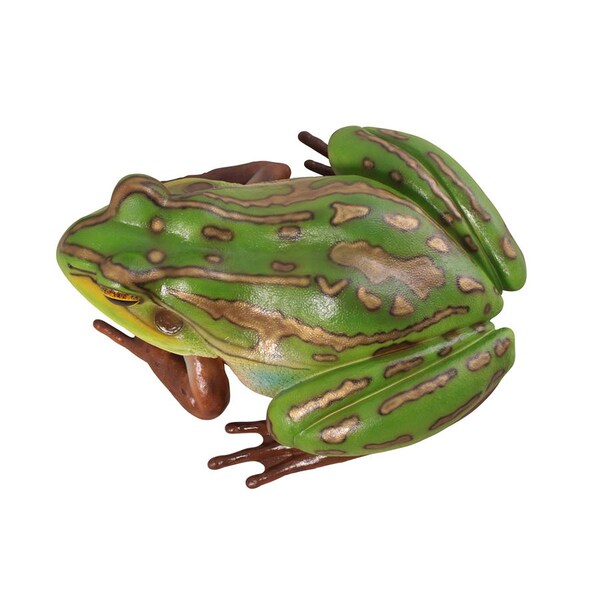 Design Toscano The Pine Barrens Giant Garden Tree Frog Statue - NE100017