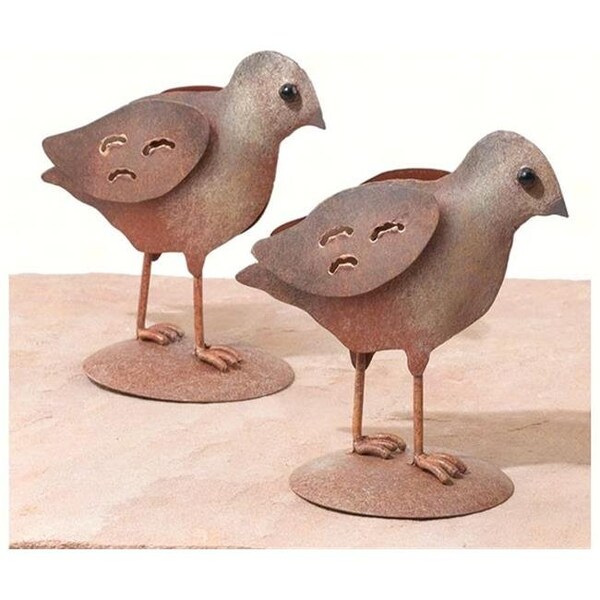 Regal Art & Gift Regal Art & Gift REGALR226 Quail Chick - REGALR226