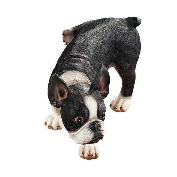 Design Toscano Lifting a Leg Naughty Boston Terrier Dog Statue - QL6280