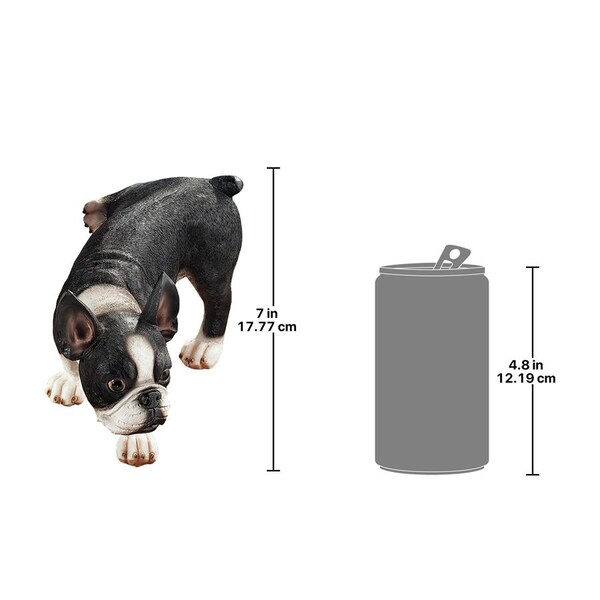 Design Toscano Lifting a Leg Naughty Boston Terrier Dog Statue - QL6280