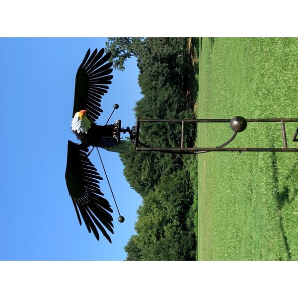 Cerrar Counterweight Metal Eagle Rocker Garden Stake, Black & Gray - Large - CE2472750