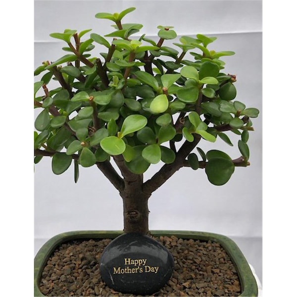 Parche Personalized Skipping Stone - Happy Mothers Day - PA3336566