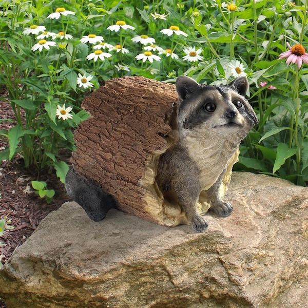 Design Toscano Bandit, the Raccoon Statue - QM24625001