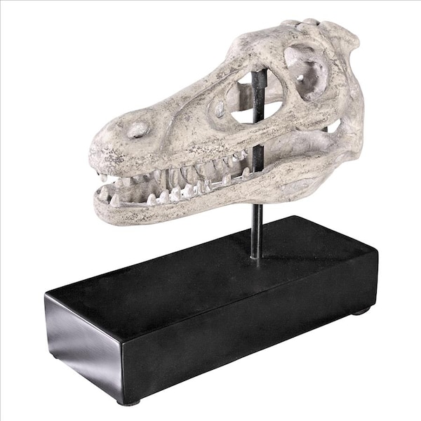 Design Toscano Velociraptor Dinosaur Skull Fossil Statue on Museum Mount - NE100503