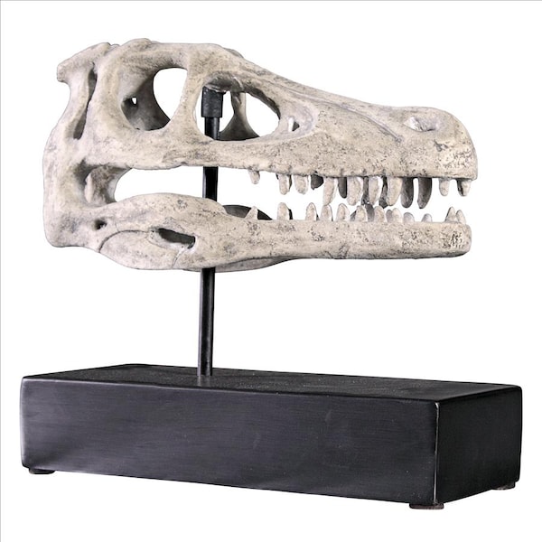 Design Toscano Velociraptor Dinosaur Skull Fossil Statue on Museum Mount - NE100503
