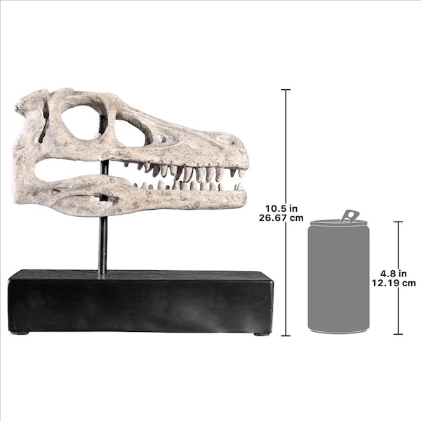 Design Toscano Velociraptor Dinosaur Skull Fossil Statue on Museum Mount - NE100503