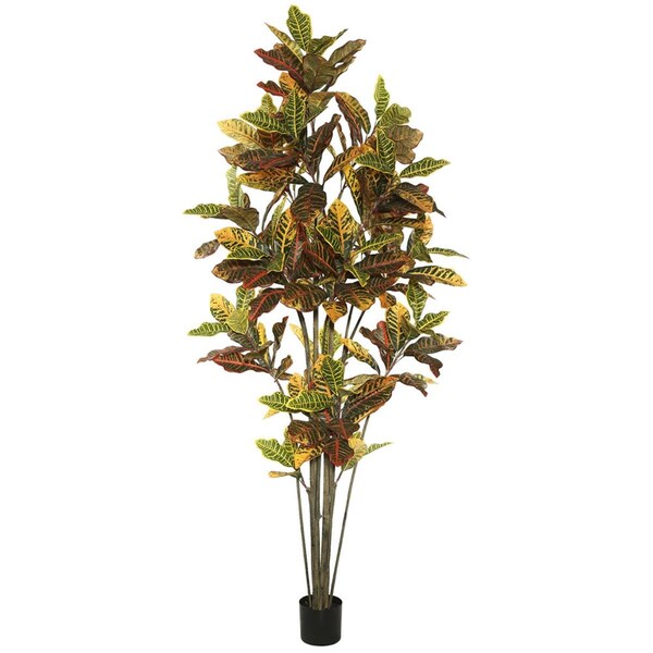 Grandoldgarden 7 ft. Potted Cronton Tree with 192 Leaves - Green & Orange - GR2675612