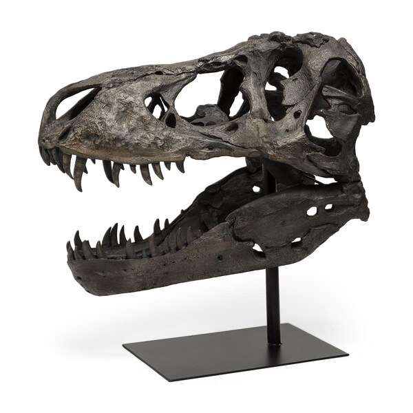 Palacedesigns 20 x 11 x 19 in. Authentic Replica Brown T Rex Skull Sculpture - PA3104761