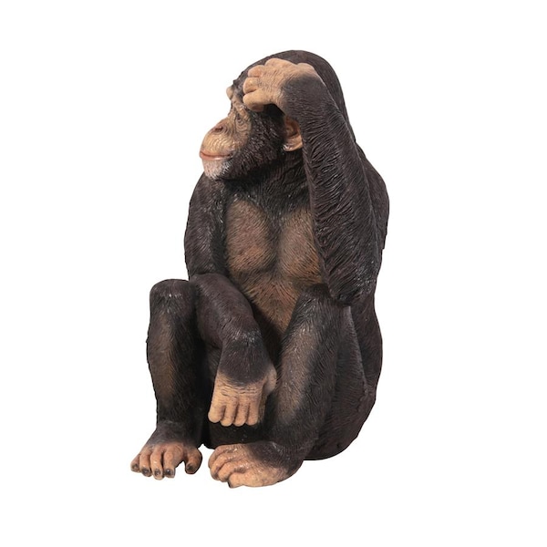 Design Toscano Chauncey the Confused Chimp Garden Monkey Statue - NE110026
