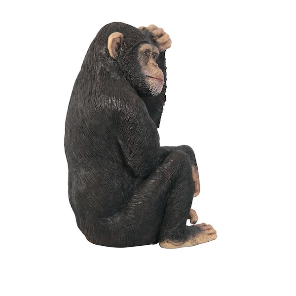 Design Toscano Chauncey the Confused Chimp Garden Monkey Statue - NE110026