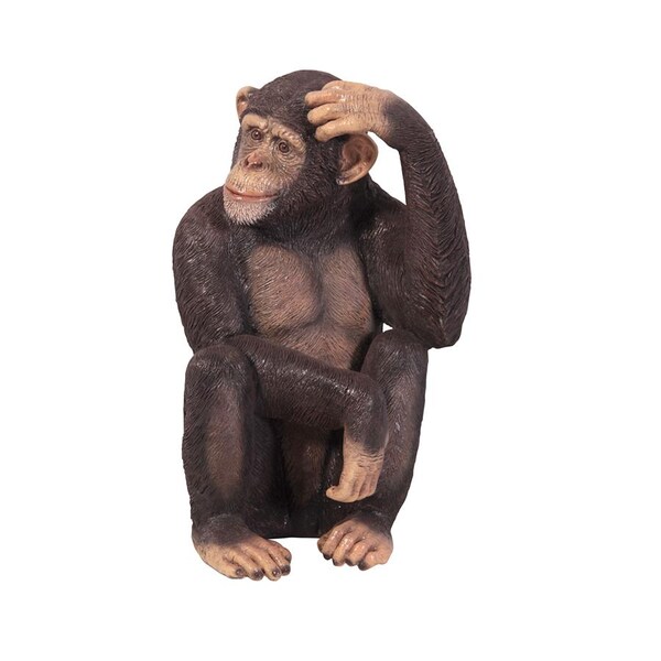 Design Toscano Chauncey the Confused Chimp Garden Monkey Statue - NE110026